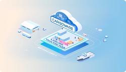 Development Trends of International Shipping Software